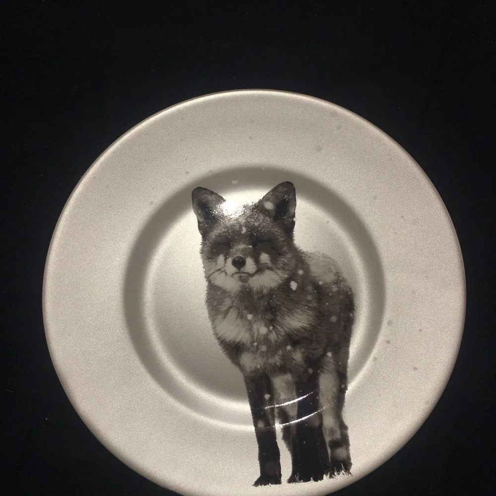 PIER 1 Imports Snow Forest Winter Fox Decorative Plate Dish 8.5